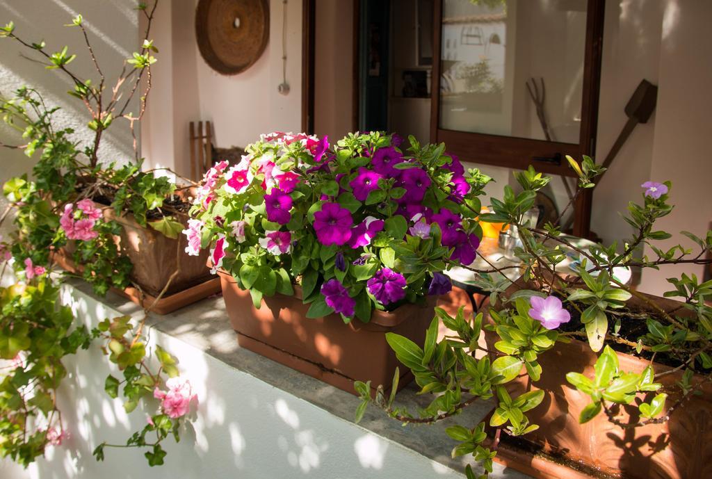 B&B Martina San Vito  Eksteriør bilde